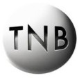 The TNB Self-Interview